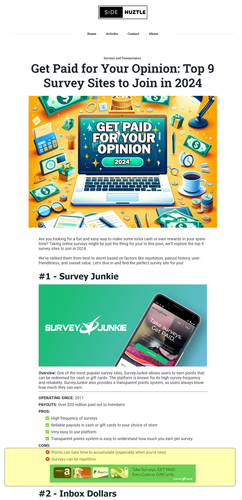 surveyjunkie placement.png