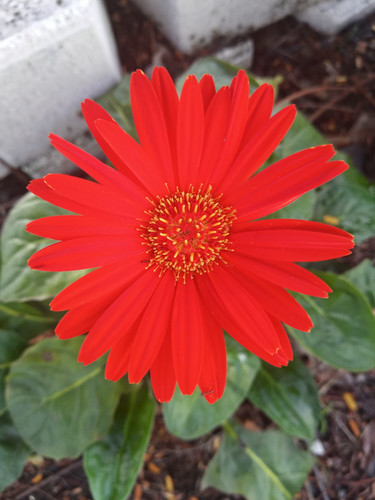 IMG 20191107 114156.jpg