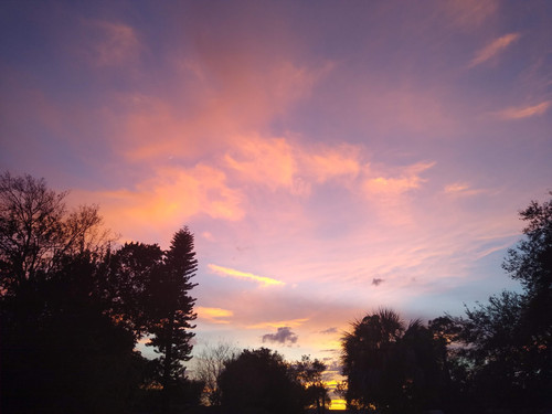 IMG 20191229 175522775.jpg