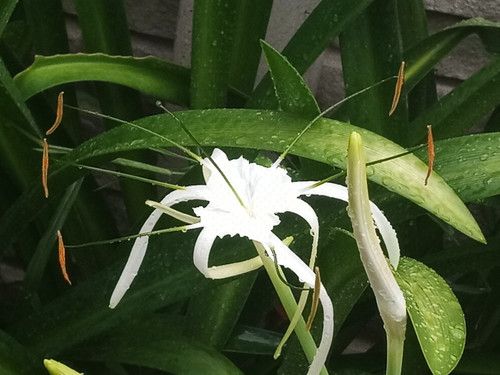 IMG 20190902 145412.jpg