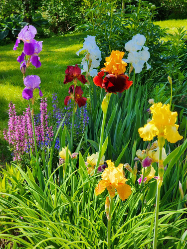 442478535 8053171954695994 2831306348231309168 n.jpg