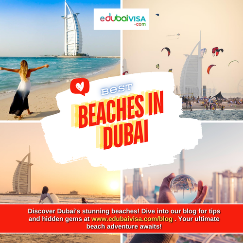 Discover the Stunning Beaches of Dubai.png