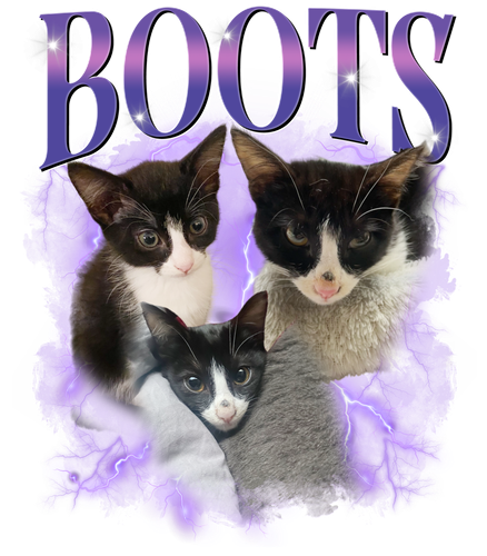 3113197826 Boots 6.png