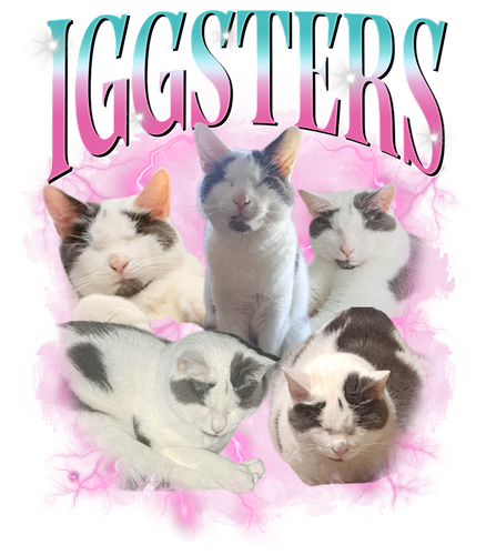 3109956181.png