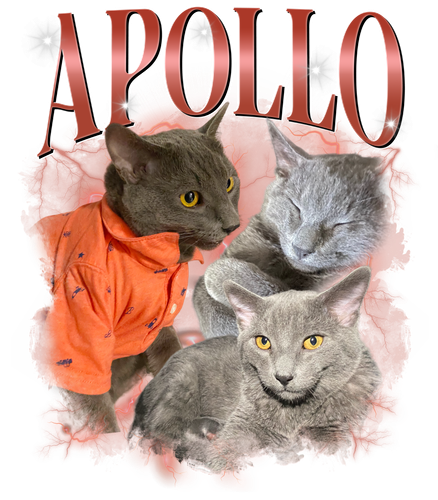 3113197826 Apollo 2.png