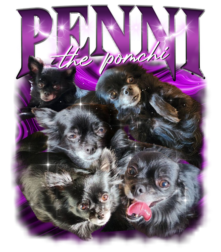 PENNI2.png