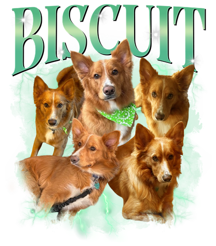 BISCUIT.png