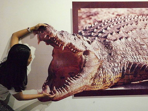 de mata trick eye museum.png