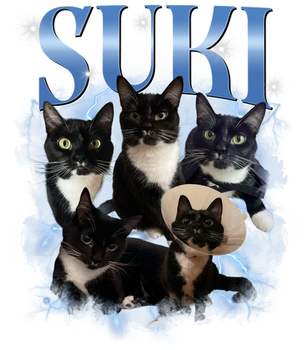 3112773836 SUKI 7.png