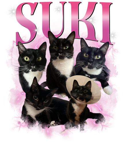 3112773836 SUKI 12.png