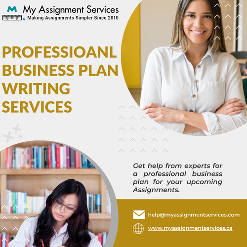 Professional Business plan writing services.png