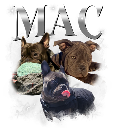 3113197826 Mac 8.png