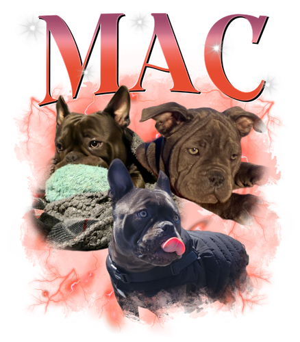 3113197826 Mac 12.png