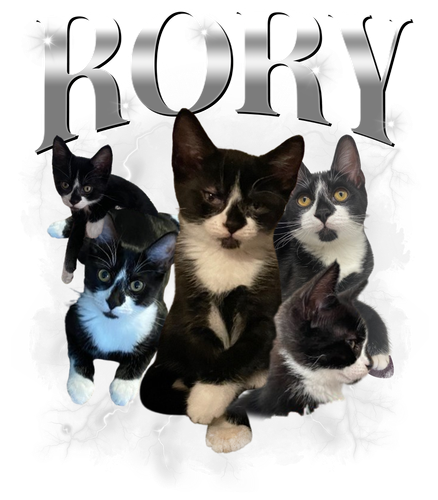 Rory.png