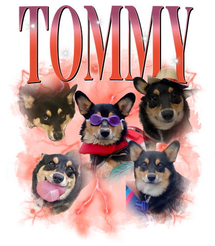tommy.png