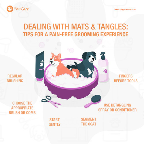 Dealing with Mats and Tangles Tips for a Pain Free Grooming Experience.jpg