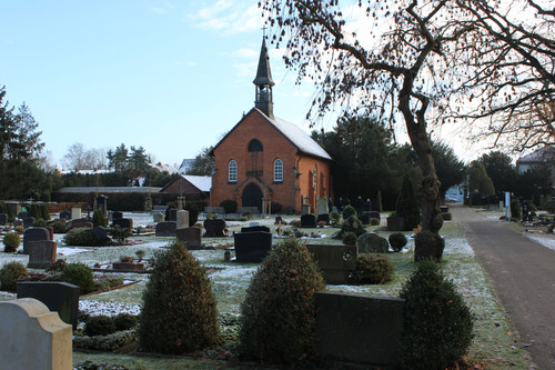 IMG 7317.jpg