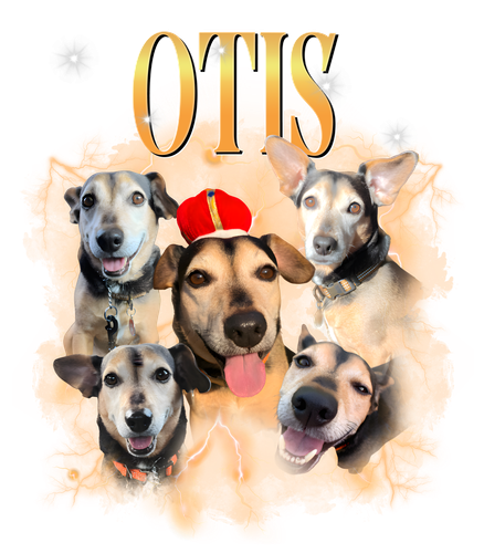 ptis.png