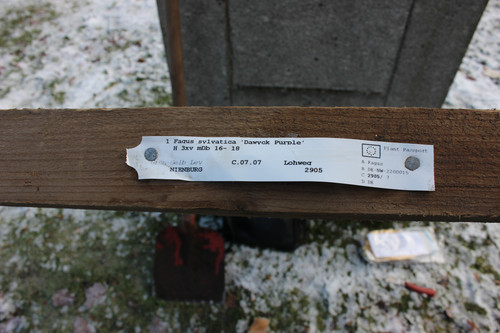 IMG 7358.jpg