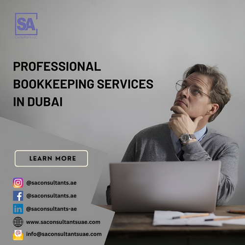 Professional Bookkeeping Services in Dubai 2.png