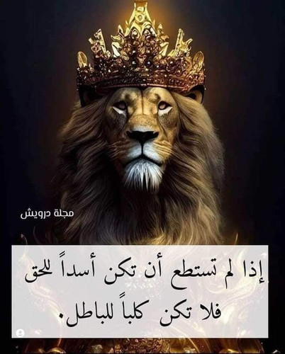 FB IMG 1701641689416.jpg