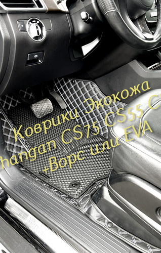 aed9787e43b96a7a9cce64d54f95127b.jpg