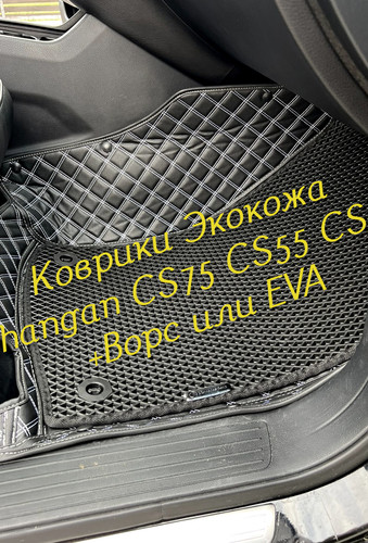 b5cf48648a36778b01657b31fead18e2.jpg