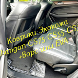 c19edcb11eef9bde459efe22969c28c9