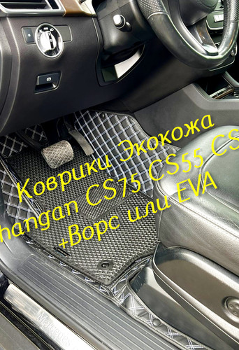 de32619b1b7e6c94cc743bd1e1c0a445.jpg