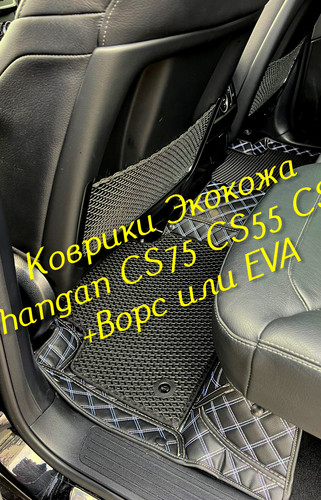 1f100a48cff84c389f613902dbe70330.jpg