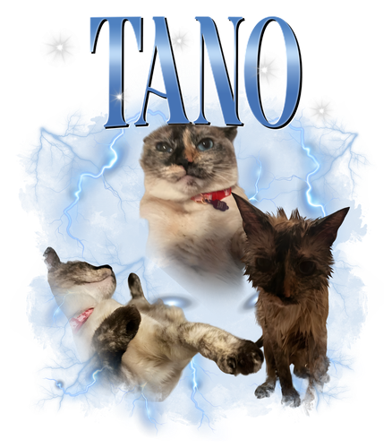 tano.png