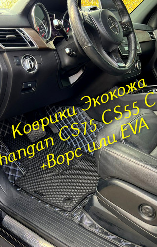 2dfdb294c676593f16ab47b07c98d69e.jpg