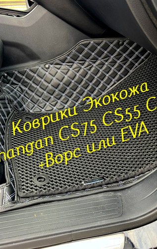 ed58d9e305e2685d223a9c091abff76f.jpg