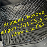 ed58d9e305e2685d223a9c091abff76f