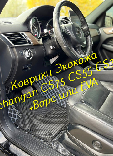 181ecf199c6d88a226235def6e1b44af.jpg
