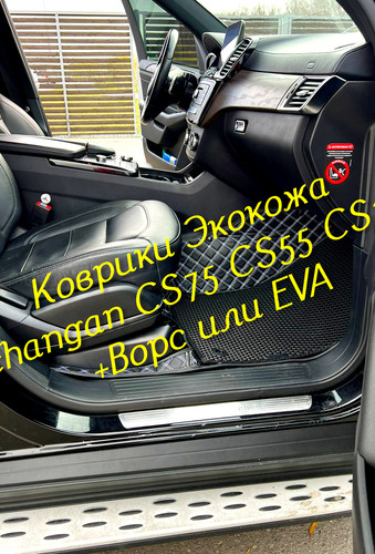 b75de6682c88ee9a746a6c8d746acf9b.jpg