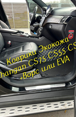 501859679faedde5ce48fd84145fec3b.jpg