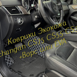 53e62266ca268ba98568a0d06f47146a