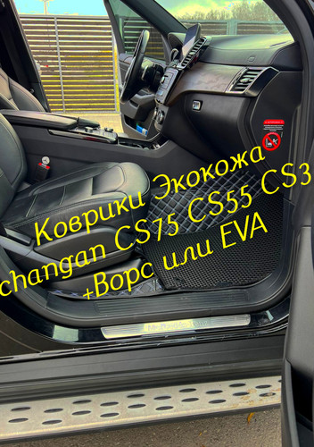 443353ca0ec54722537ff5be6eafe64f.jpg