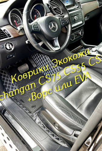b2dda2acb8a0ed680475a7c7d35d9cd9.jpg