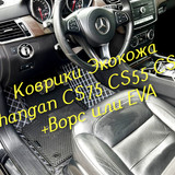 3215857d23c54118d34b4ba3a1b52cba