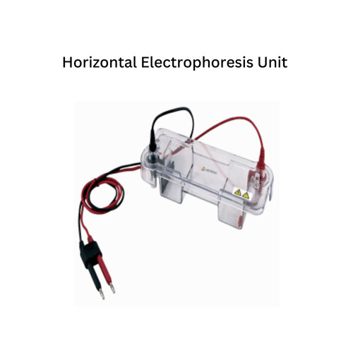 Horizontal Electrophoresis Unit.jpg