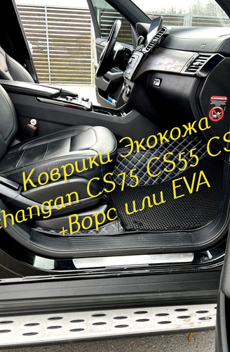 1796ef74dfe0409b31ab0c057d6bcde5.jpg