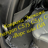 2fe868571123a411f47f96b823cc0e69