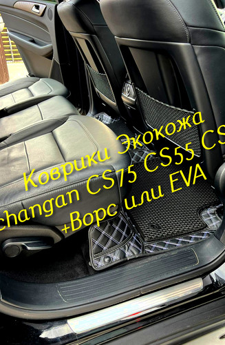 50a9b3000bcd7b1579fb07ed89efb5c3.jpg