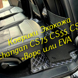 50a9b3000bcd7b1579fb07ed89efb5c3