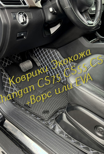4a088758a6c4eaff8ca2bacb73d1166f.jpg