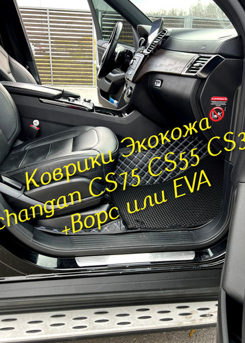 2d64301f2703a405c4bf3d4db79aca57.jpg
