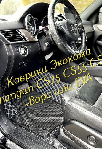b0c862b604711ae130d809bd21e34346.jpg
