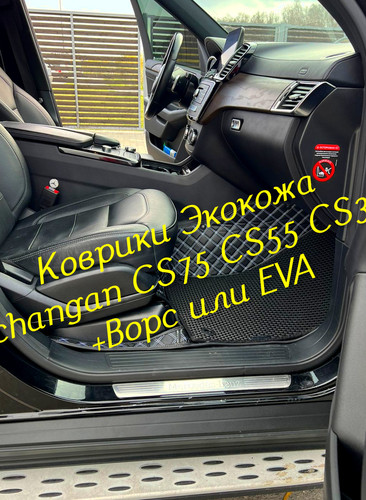 7eb4c848acef8c614943cf5719540947.jpg